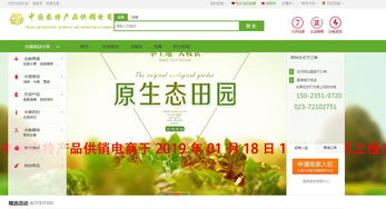 互聯網信息服務驅動下的農特產品電商新模式探析